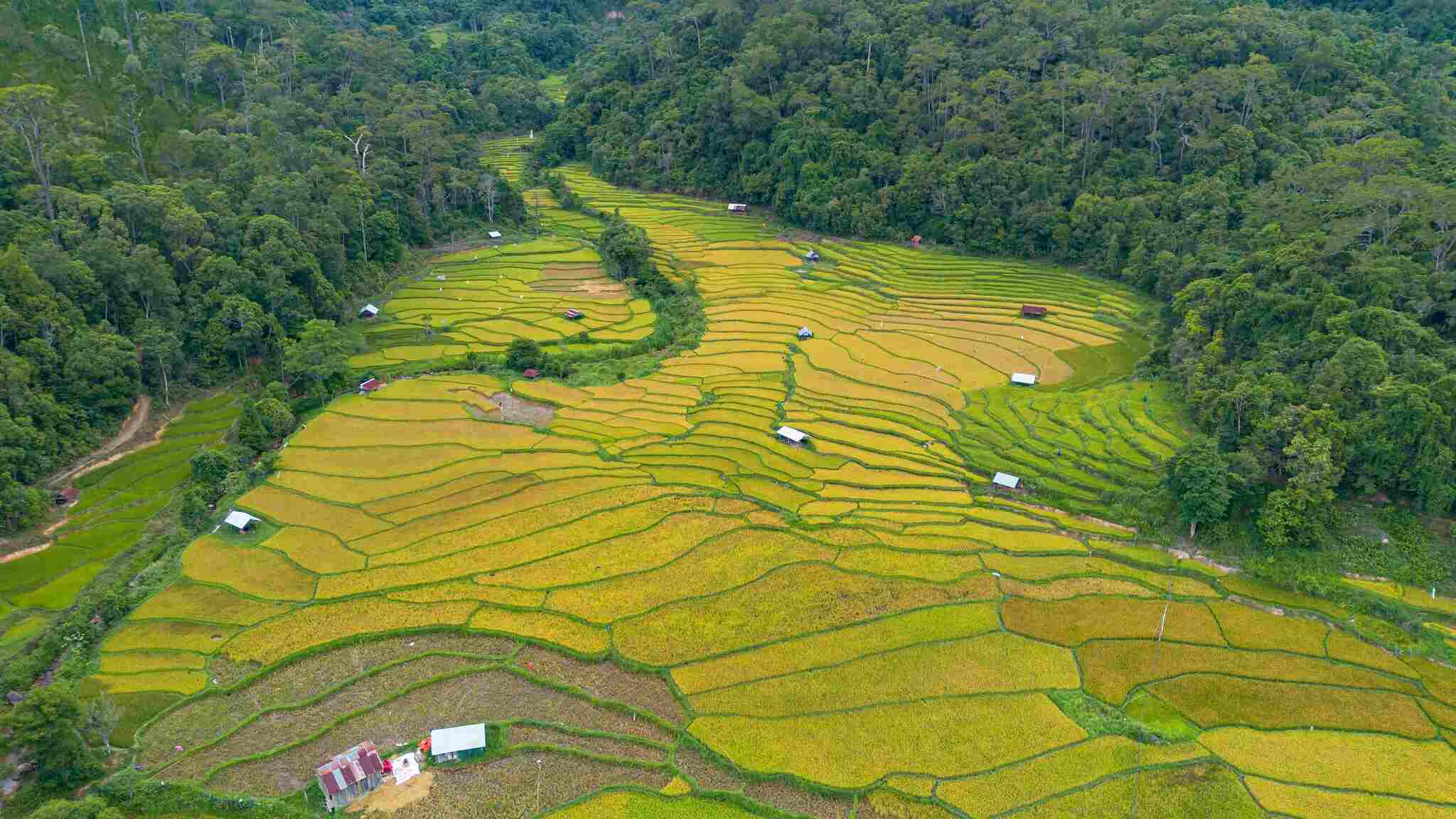 Possédant un paysage poétique, mais pour des raisons géographiques, Kon Tu Rang n'a pas vraiment attiré beaucoup de touristes. Pour accéder au terrain, les visiteurs doivent marcher car la route est assez raide et comporte des virages serrés. Pour les touristes plus âgés, ce n’est certainement pas une destination touristique idéale.