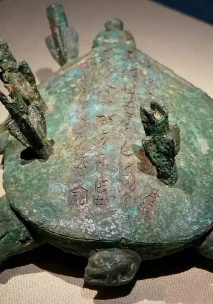 Old farmer fishes out 'strange turtle', unexpectedly finds treasure over 3,000 years old - 2