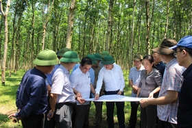 ตรวจสอบและจัดการปัญหาในการเคลียร์พื้นที่และย้ายที่ตั้งโครงการทางด่วนวันนิญ-กามโล