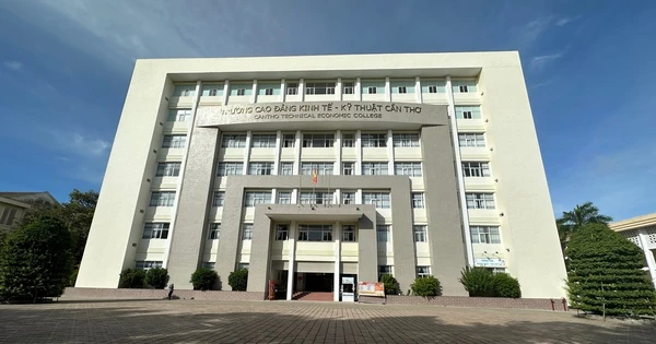 Upgrading Can Tho College of Economics and Technology into a University