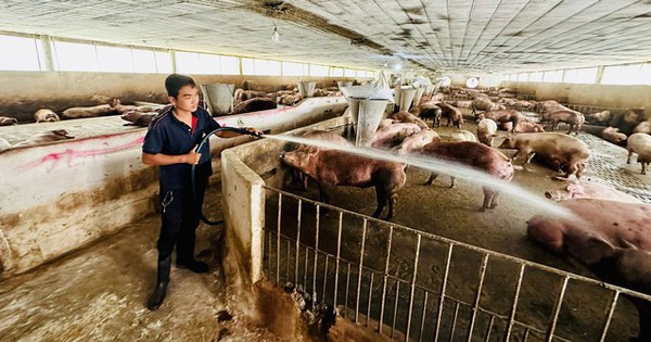 Reduzierung von Feststoff- und Plastikmüll in der Landwirtschaft und Viehzucht