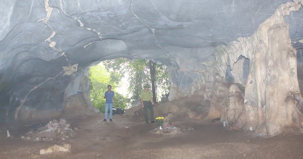 In einem berühmten Wald in Ninh Binh wurden drei antike Gräber ausgegraben, seltsam gekrümmte Überreste, 7.500 Jahre alt