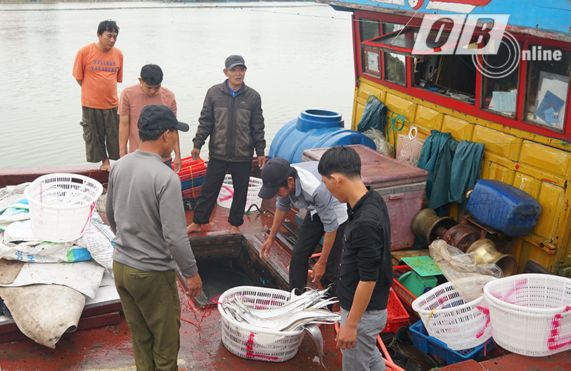 La plupart des pêcheurs de Canh Duong pratiquent la pêche hauturière.