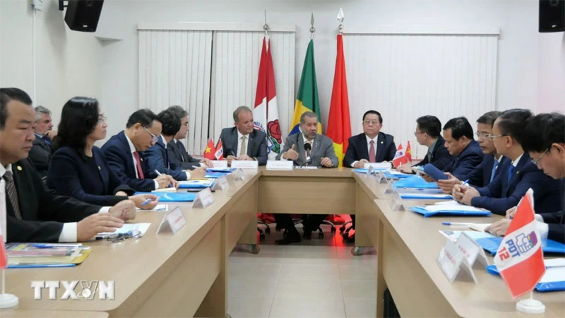 Promoting Vietnam-Brazil relations to new heights