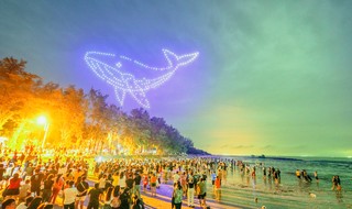 Whale formation using 250 drones in the sky of Can Gio