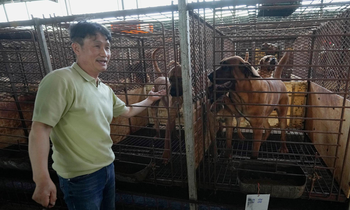 South Korea divided over dog meat