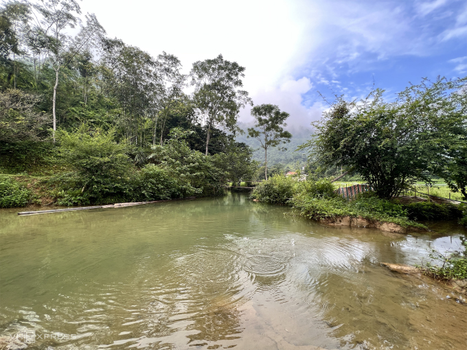 Un coin du ruisseau Buot, qui traverse le village sur environ 3 km, est également une zone où la pêche est interdite. Photo : Hong Chieu