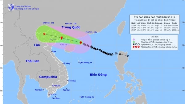 ハノイは、暴風雨第1号による大雨の影響を積極的に防止し、対処し、対応する。