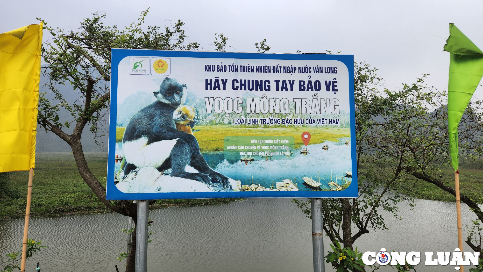 ve dam van long dam minh vao khung canh hoang so nhung yen binh tinh lang ma thu thai hinh 3