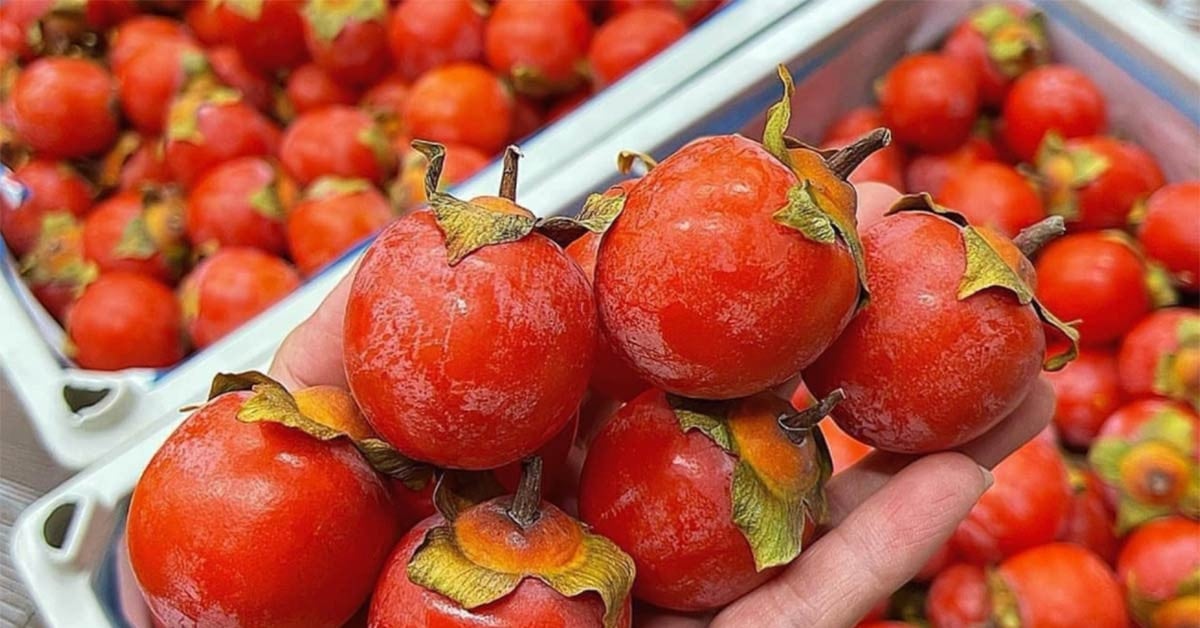 La vérité sur le rubis qui « teint en rouge » les marchés vietnamiens ; Prix ​​du pamplemousse Soi Ha 2 000 VND/fruit