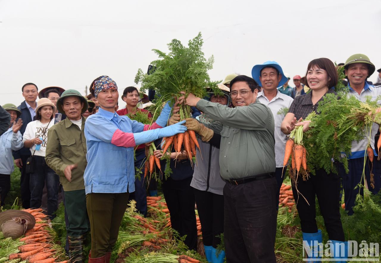 Le Premier ministre se rend dans les champs pour planter et récolter avec les agriculteurs, encourageant ainsi la production agricole