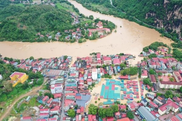 New Zealand supports 1 million NZD to help Vietnam overcome the consequences of storm Yagi