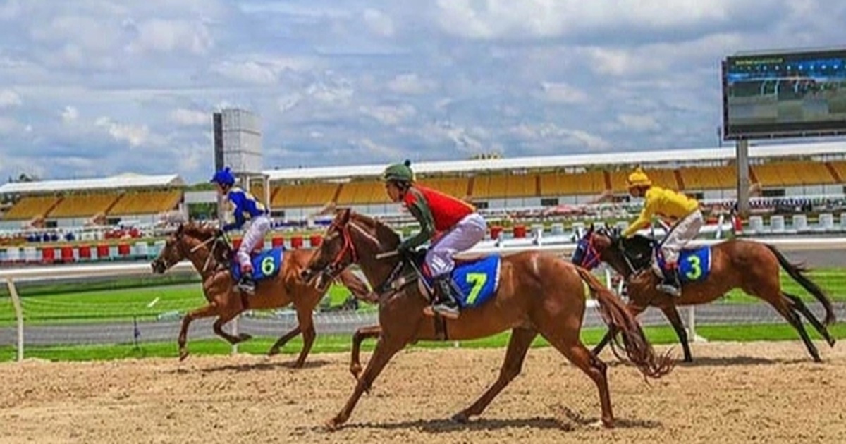 Hanoi approves planning for Soc Son urban area with 420 million USD horse racing track