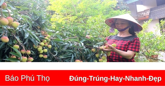 Hiệu quả từ chương trình phát triển tài sản trí tuệ