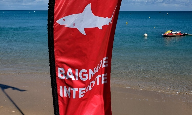 French Islands 'declares war' on sharks