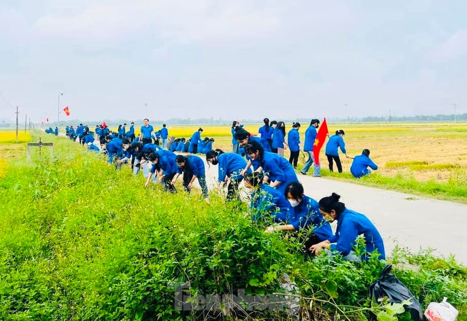 Des chiffres et des images impressionnants de jeunes de Nghe An lançant la campagne de bénévolat d'été, photo 17