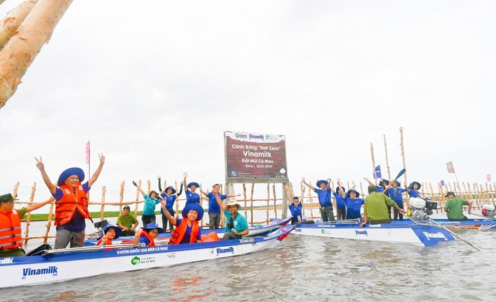 Khu vực khoanh nuôi tái sinh rừng ngập mặn có diện tích 25ha do Vinamilk, Gaia chung tay thực hiện tại Vườn Quốc gia Mũi Cà Mau.