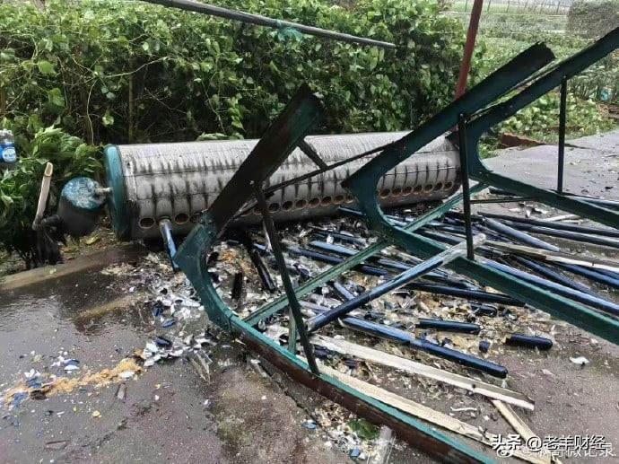 台風ベビンカが中国上海市を襲う 写真9