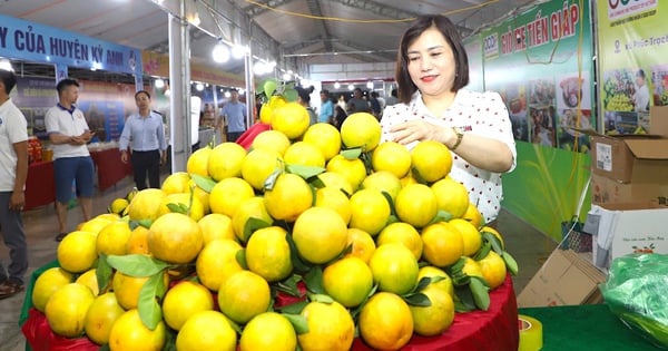 Des centaines de produits locaux à la Fête de l'Orange et des produits de Ha Tinh en 2024