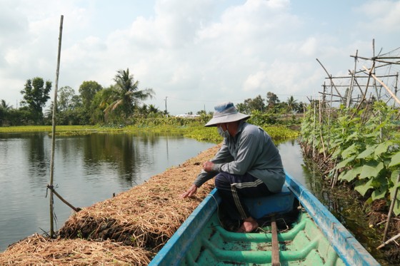 Trồng rau trên mặt nước ảnh 3