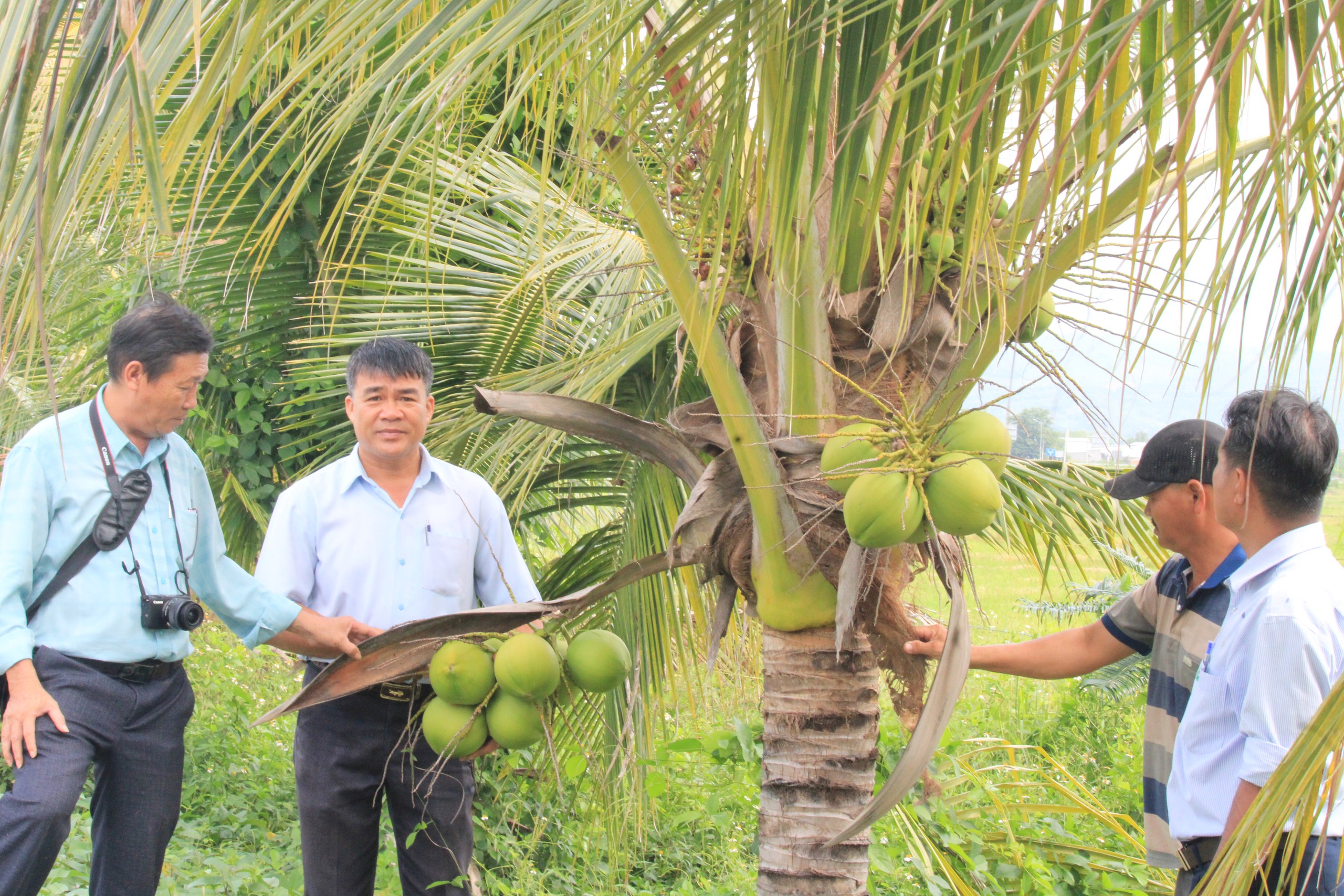 Đào ao thả 2 loại cá gì, cho thiên hạ vô câu cá giải trí, ai ngờ ông nông dân Khánh Hòa giàu hẳn?- Ảnh 3.