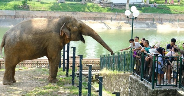 Check-in at cool green parks in Hanoi