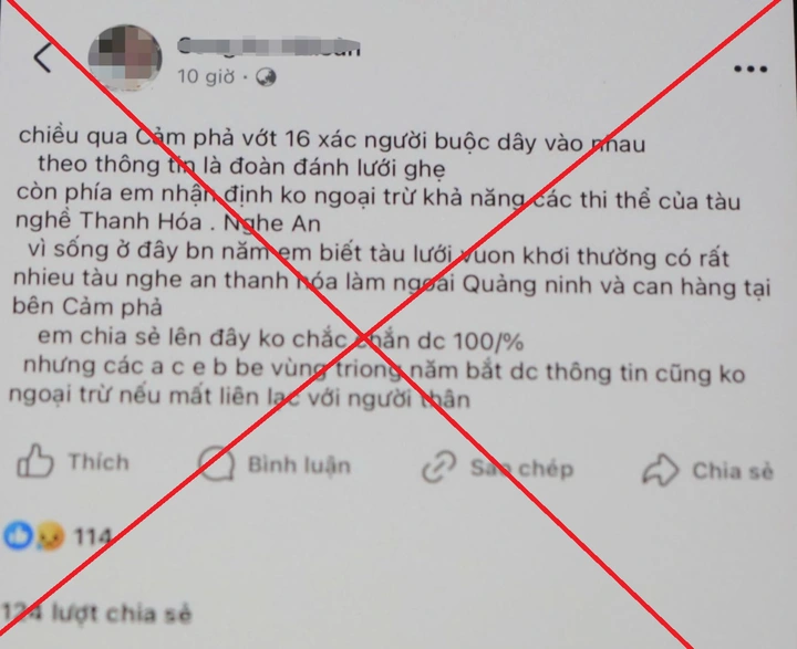 Quảng Ninh: Triệu tập đối tượng tung tin sai sự thật trên mạng xã hội về tình hình thiệt hại do cơn bão số 3   - Ảnh 2.