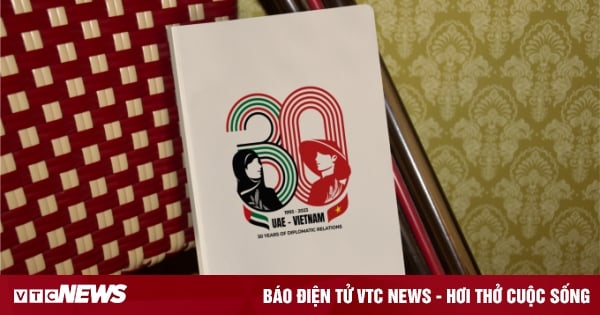 Ein von der indigenen Kultur geprägtes Logo feiert 30 Jahre diplomatische Beziehungen mit Vietnam