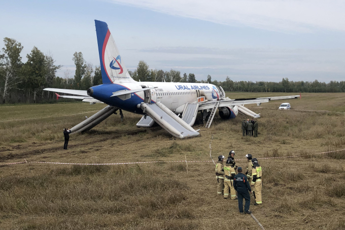 Un Airbus A320 operado por Ural Airlines realizó un aterrizaje de emergencia en un campo cerca del pueblo de Kamenka, región de Novosibirsk, Rusia, en septiembre de 2023. Foto: AFP