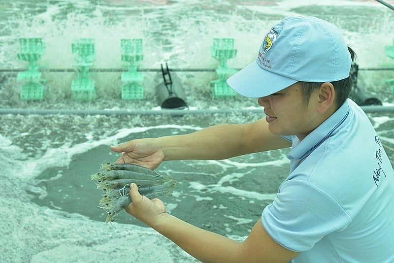 Xuất khẩu ngày