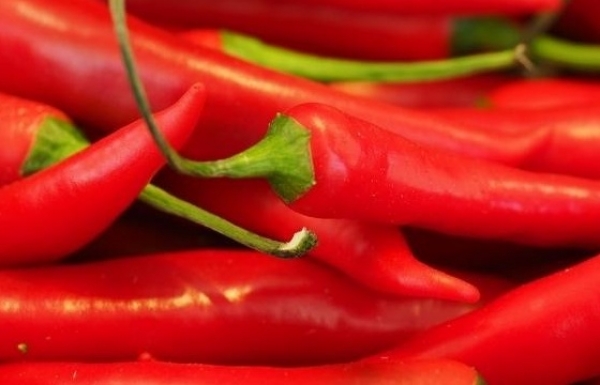 South Korea announces re-inspection of hot peppers imported from Vietnam