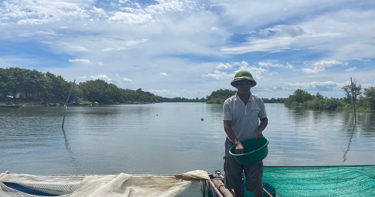 Créer une marque et trouver des débouchés pour la pisciculture en cage à Duy Ninh