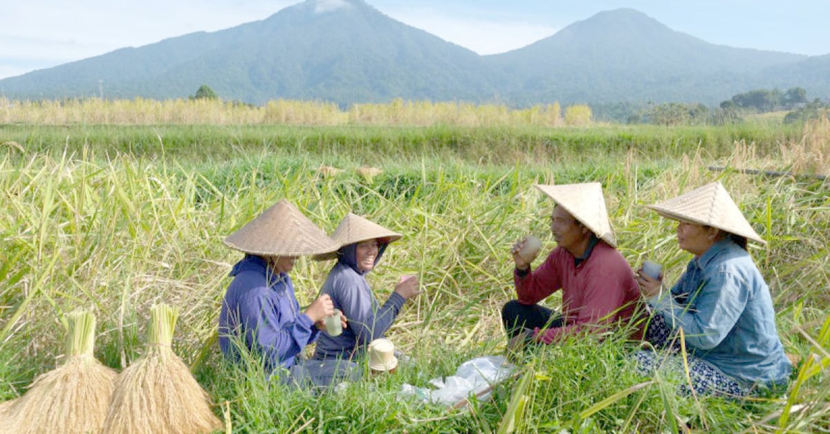 Indonesia trả lương cao để người trẻ làm nông