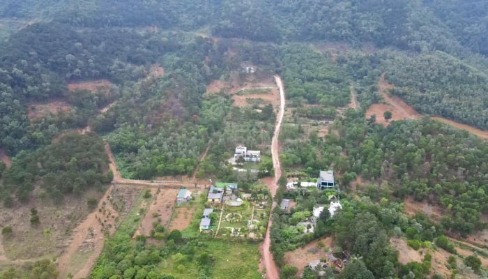 Hanoi exige un tratamiento estricto y exhaustivo de las violaciones en la gestión y el uso de las tierras forestales.