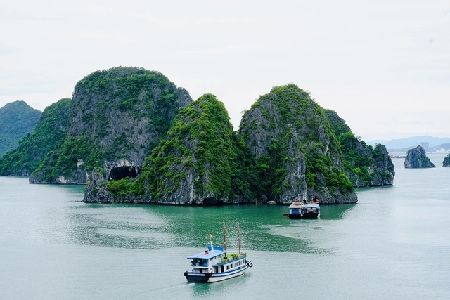 Revenue from Ha Long Bay is not worthy of the world heritage status