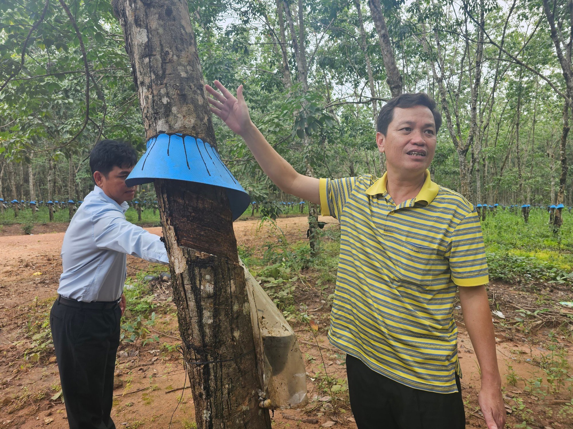 Ông Vũ Thế Duy giới thiệu những việc công nhân có thể làm mùa nghỉ cạo để đảm bảo thu nhập