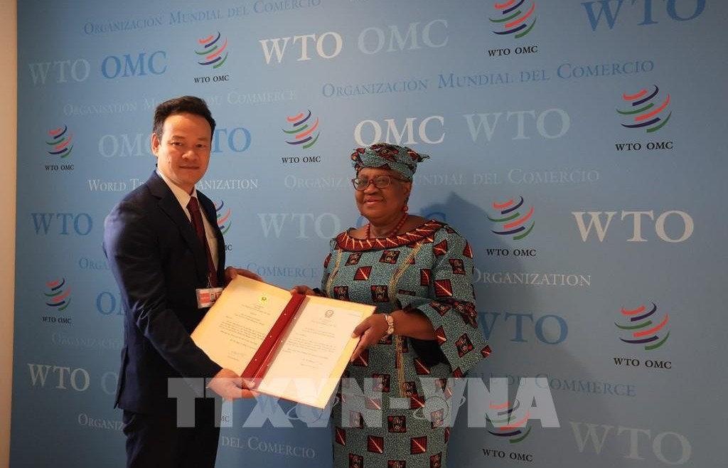 WTO ទទួលស្គាល់ការរួមចំណែករបស់វៀតណាមចំពោះប្រព័ន្ធពាណិជ្ជកម្មពហុភាគី