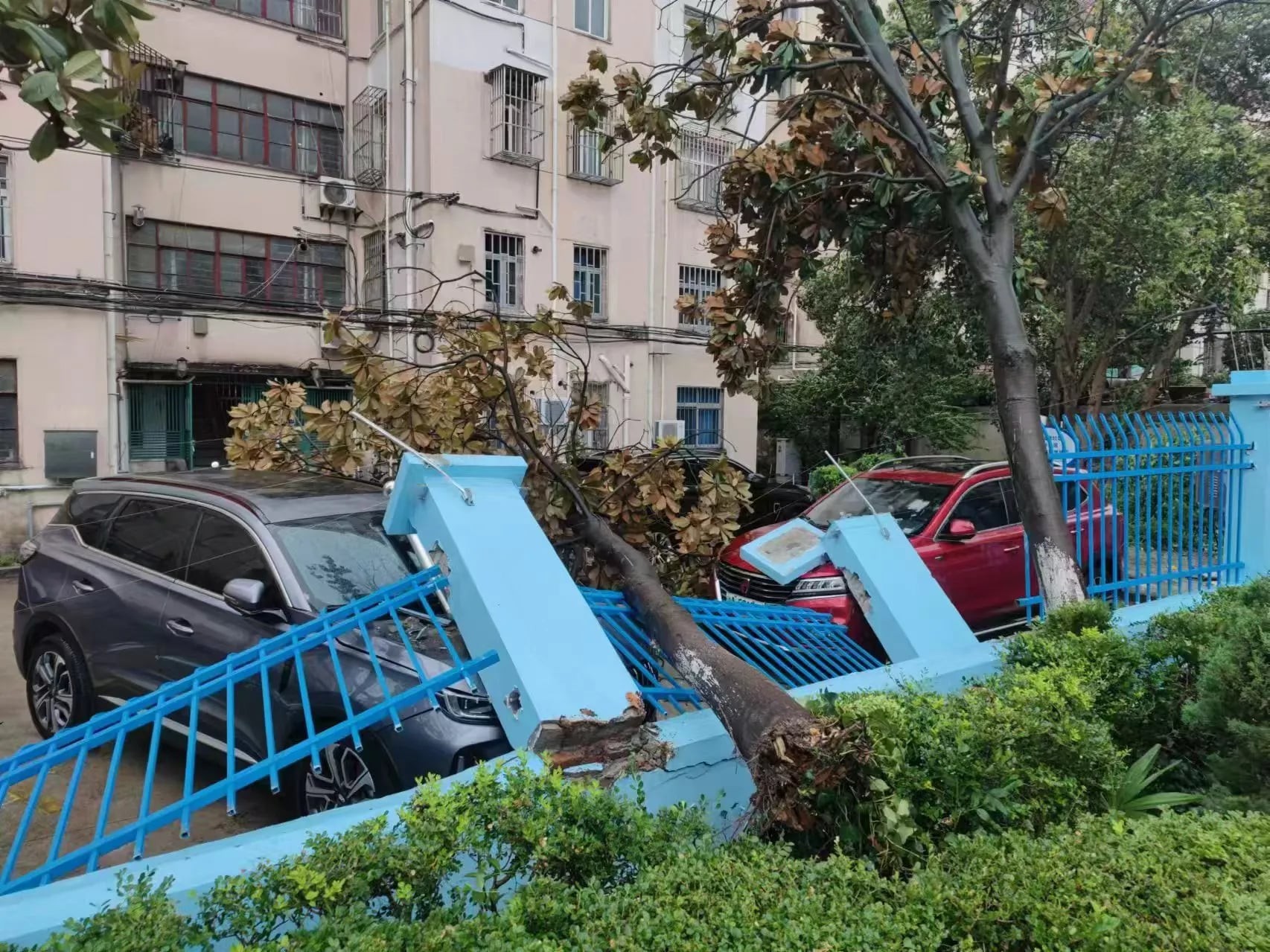 台風ベビンカが中国上海市を襲う 写真5