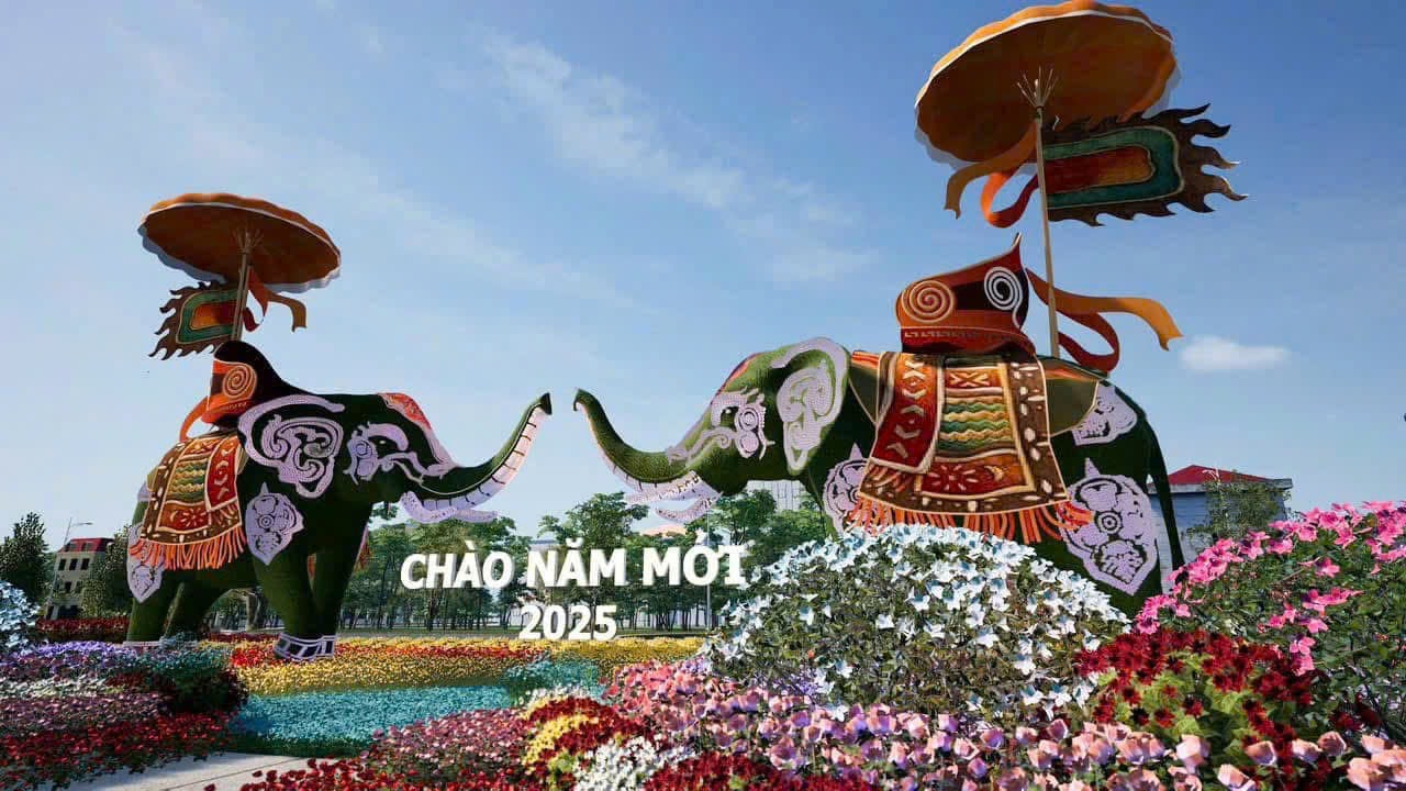 Tại Festival trưng bày hàng trăm nghìn bông hoa các loại được trồng trên vùng đất Mê LinL. Ảnh: Hoàng Sơn 