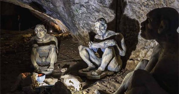 El Homo sapiens se cruzó con otras especies hace 47.000 años