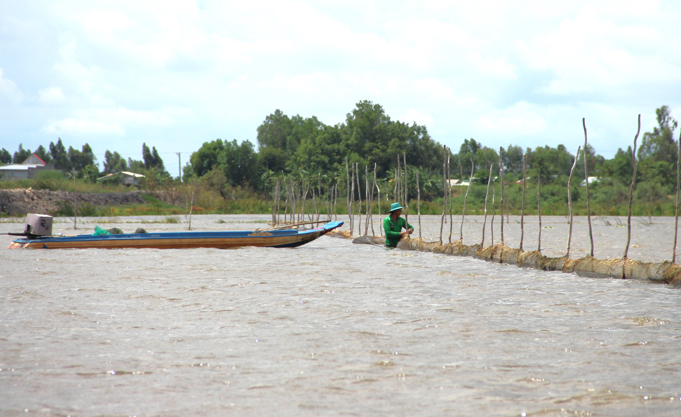 Mùa nước nổi Long An, ra ruộng mênh mông xem nông dân săn bắt cá đồng, có cá linh, cá rô, cá mè - Ảnh 2.