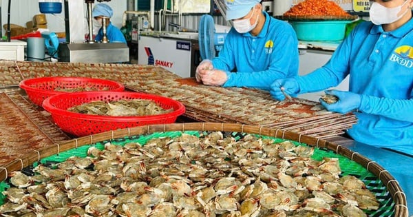 까마우의 특산품인 구운 새우는 설날에 맛있습니다.