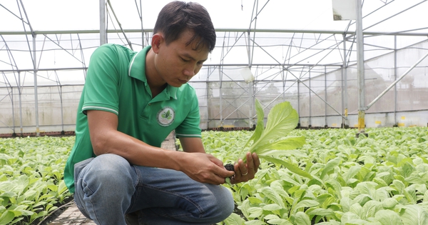 Un agriculteur vietnamien exceptionnel de Ba Ria-Vung Tau a déclaré que les coopératives souhaitent construire des installations auxiliaires