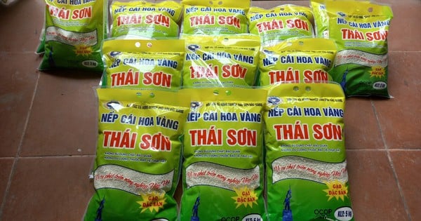 Một giống lúa đặc sản hạt tròn, dẻo và thơm nức là niềm tự hào của người dân Bắc Giang