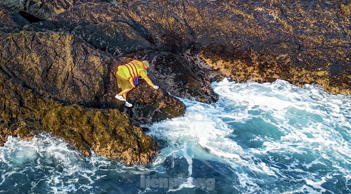 Trabajo duro recolectando 'recompensas del mar' en acantilados rocosos con olas feroces foto 7