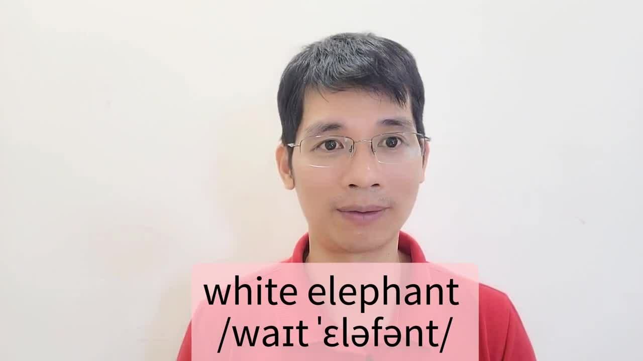 Cách diễn đạt tiếng Anh mới với từ 'elephant'