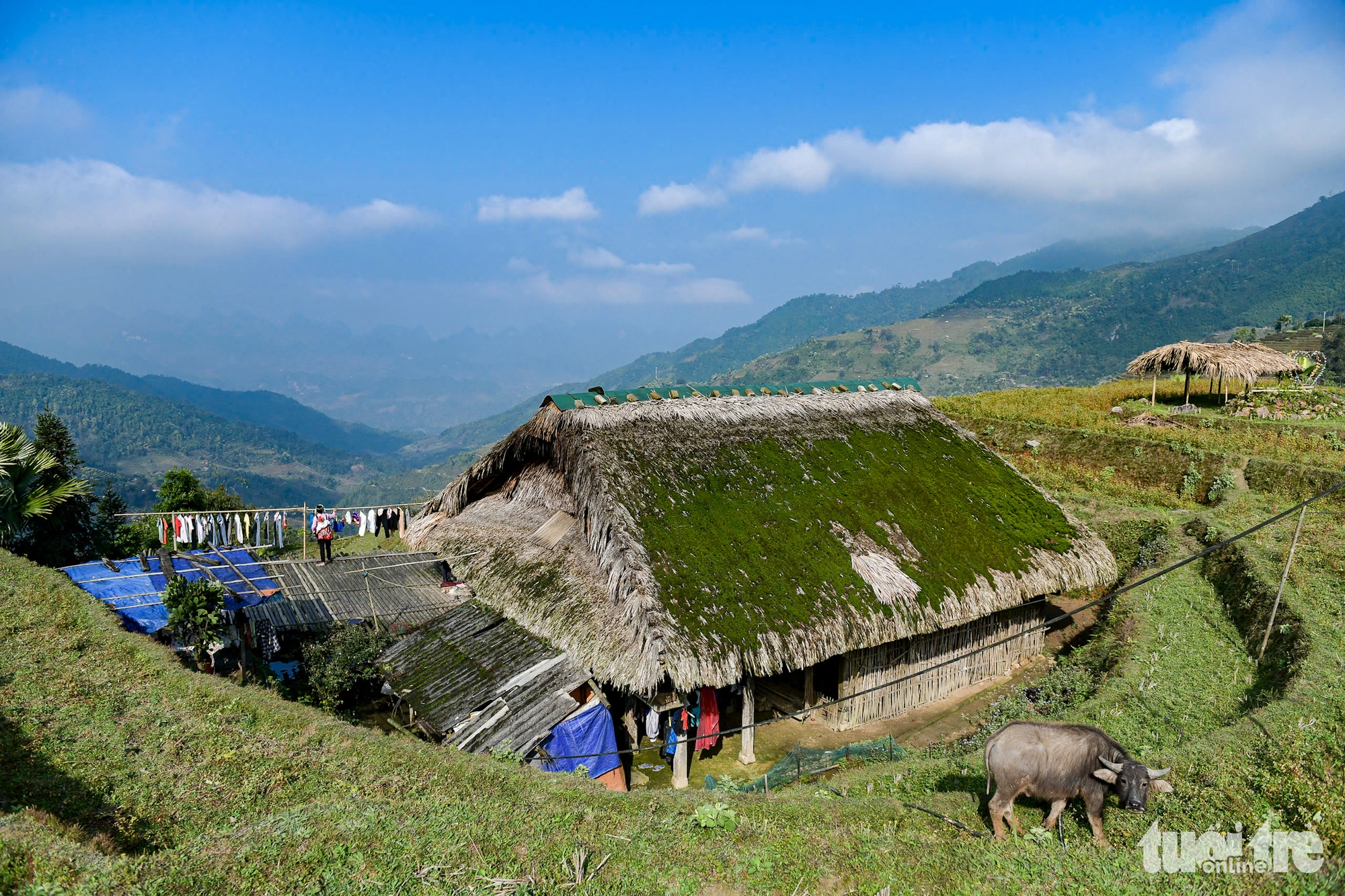 苔で覆われた数十年前の高床式住宅の屋根がユニーク