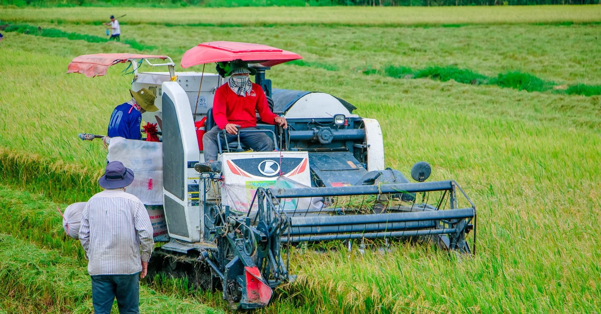 Outstanding Vietnamese farmers: some with revenue of hundreds of billions, some with profits of 20 billion