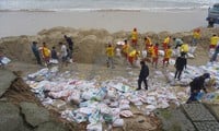 Esfuerzos para superar los deslizamientos de tierra en la playa más hermosa de Asia