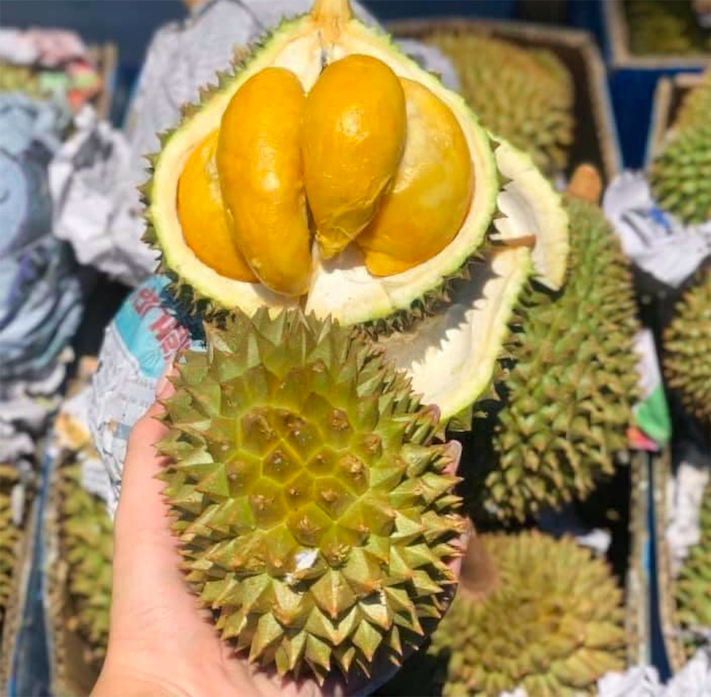 Sầu riêng Thái mini tràn vào nội địa có đáng ngại?- Ảnh 2.